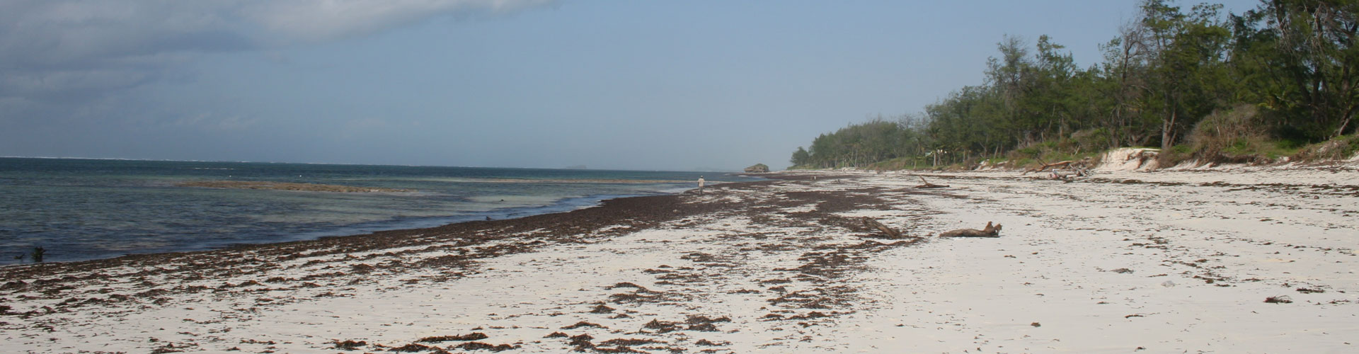 Demo Image